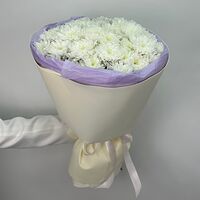 Изображение 8