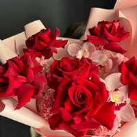 Изображение 4