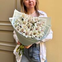 Изображение 5