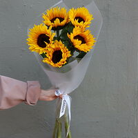 Изображение 5