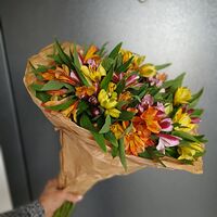 Изображение 1