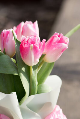 Весенний аромат