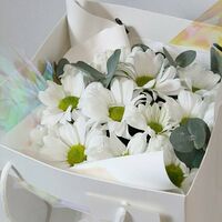 Изображение 2