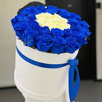 Изображение 3