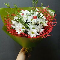 Изображение 3