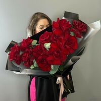 Изображение 3