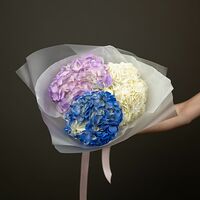 Изображение 3