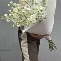 Изображение 3
