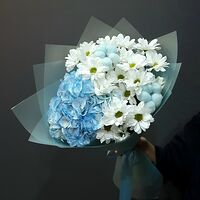 Изображение 3