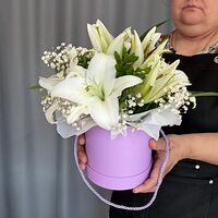 Изображение 4