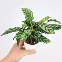 Изображение 6