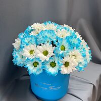 Изображение 6
