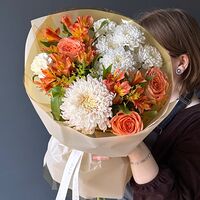 Изображение 5