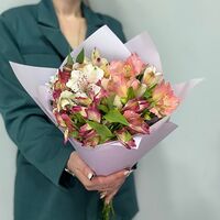 Изображение 4