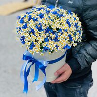 Изображение 4