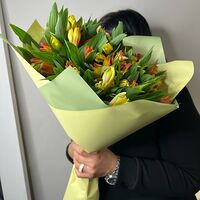Изображение 5