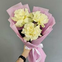 Изображение 3