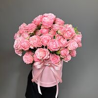 Изображение 3