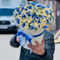 Изображение 2