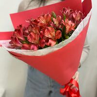 Изображение 4