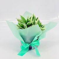 Изображение 3
