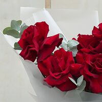 Изображение 3