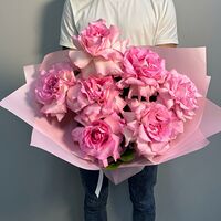 Изображение 6