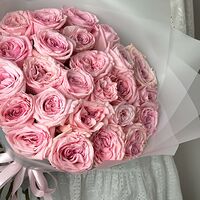 Изображение 9
