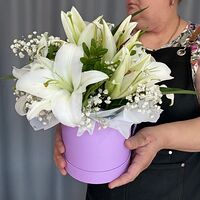 Изображение 6