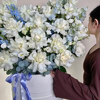 Изображение 2