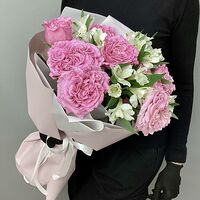 Изображение 3