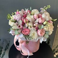 Изображение 2