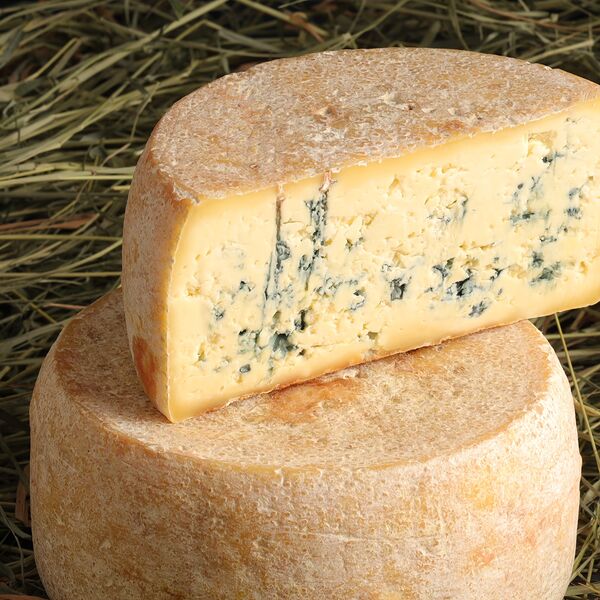 Горгонзола с голубой плесенью