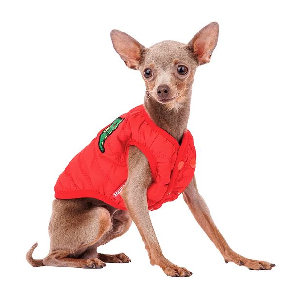 Жилетка для собак с дракошей XS (унисекс)