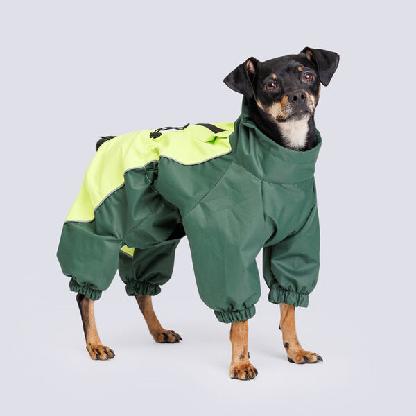 Дождевик Rungo Скотч-терьер мальчик лайм