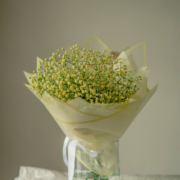 Букет гипсофилы