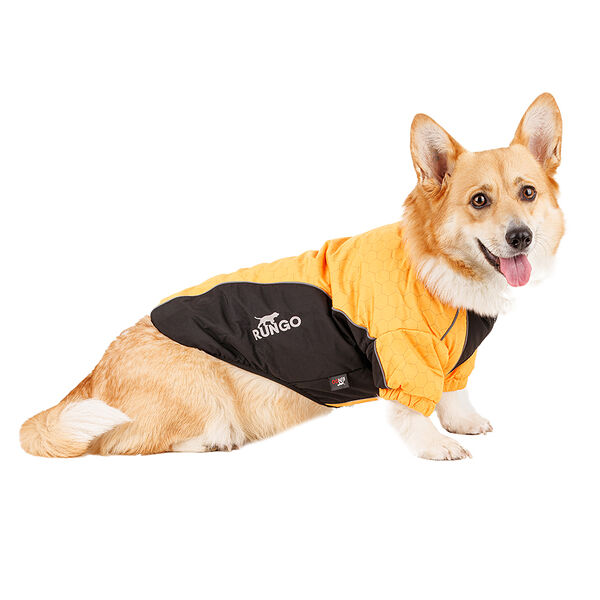 Куртка на молнии для собак 3XL желтый (унисекс)