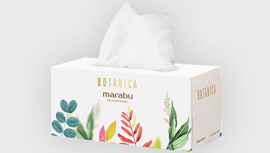 Салфетки бумажные Botanica Листья/Цветы 2-слойные 220 шт