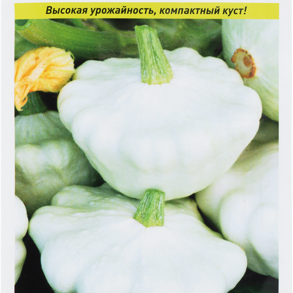 Семена РУССКИЙ ОГОРОД Патиссон Диск, 2г