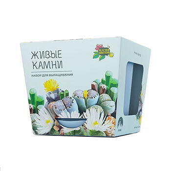 Набор для выращивания растений Магия цветов Литопсы микс (живые камни)