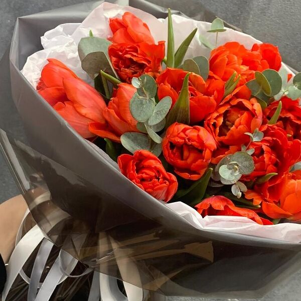 15 пионовидных тюльпанов ️