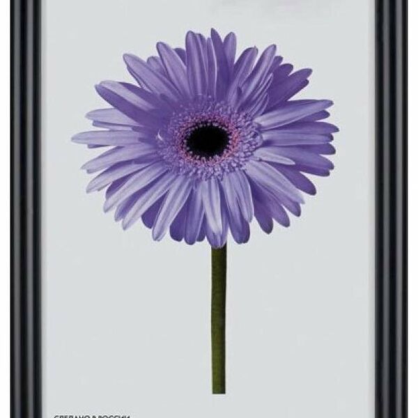 Фоторамка Maria (Мария) Венге, 13х18 см ТМ Метрика