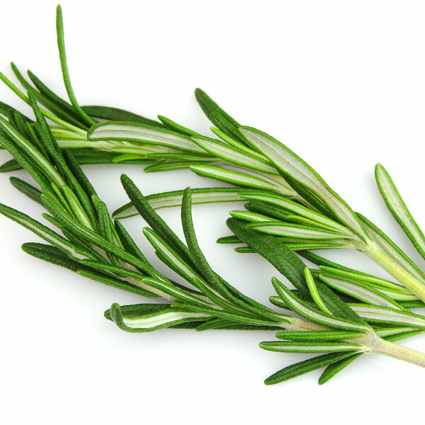 Розмарин свежий ТМ Metro Chef (Метро Шеф)