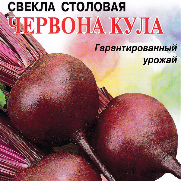 Семена ДОМ СЕМЯН Свекла Червона Кула, 3г