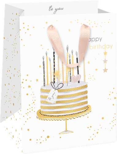 

Пакет подарочный Party 14х19х11 см, люкс в ассортименте 1 шт.