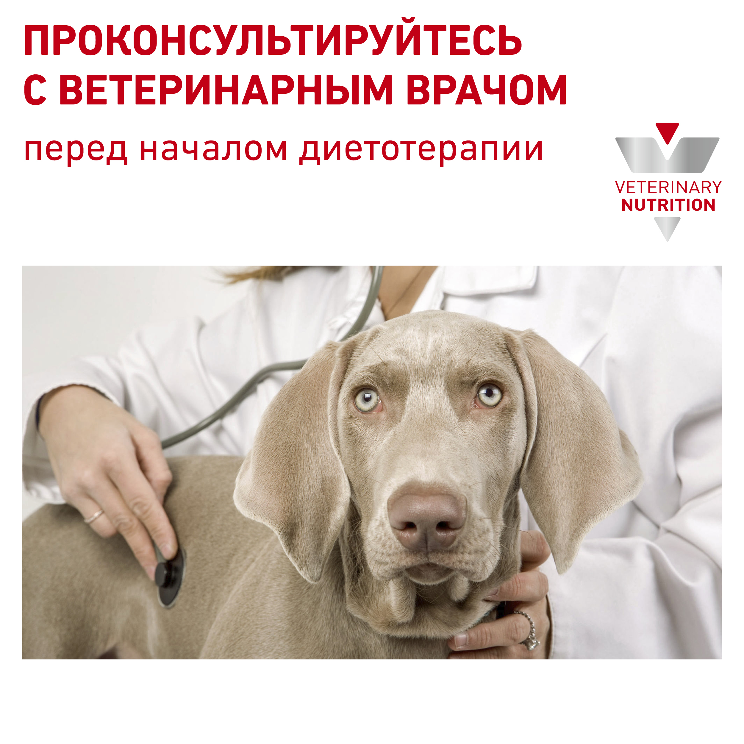 

Сухой корм для собак Royal Canin Satiety Weight Management для контроля избыточного веса 1.5 кг