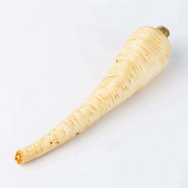 Корень Пастернак