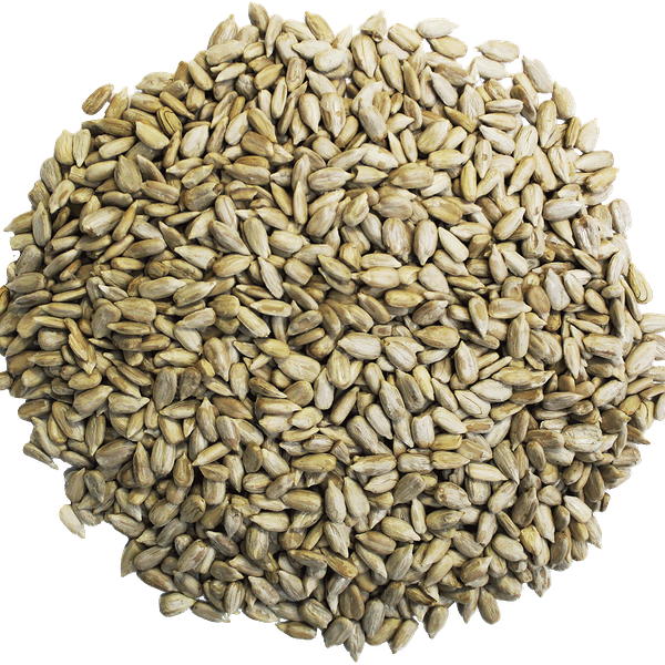 Ядро подсолнечника Магнит в стакане