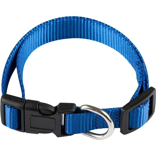 Ошейник Рыжий кот с застежкой, размер М