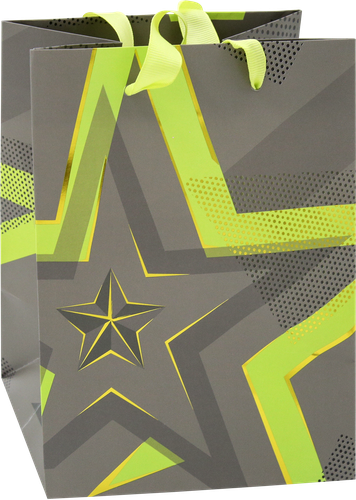 

Пакет подарочный Neon, 14х19х11см, Арт. SMT